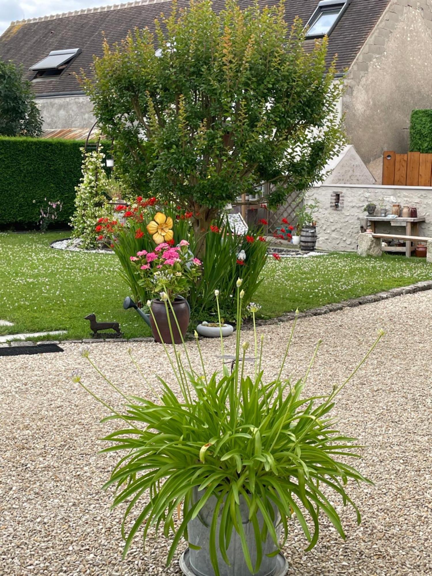 Le Clos Du Q'Hatre Cléry-Saint-André Exterior foto